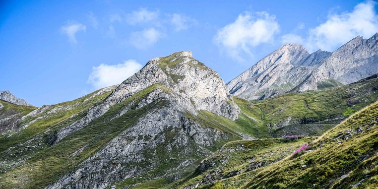 Gruppo di ciclisti sala al Colle dell'Agnello