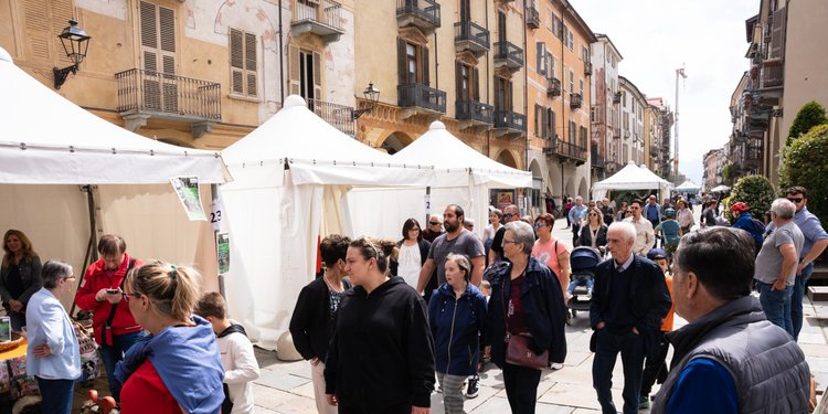 Il villaggio alpino in via Roma durante il Cuneo Montagna Festival 2024