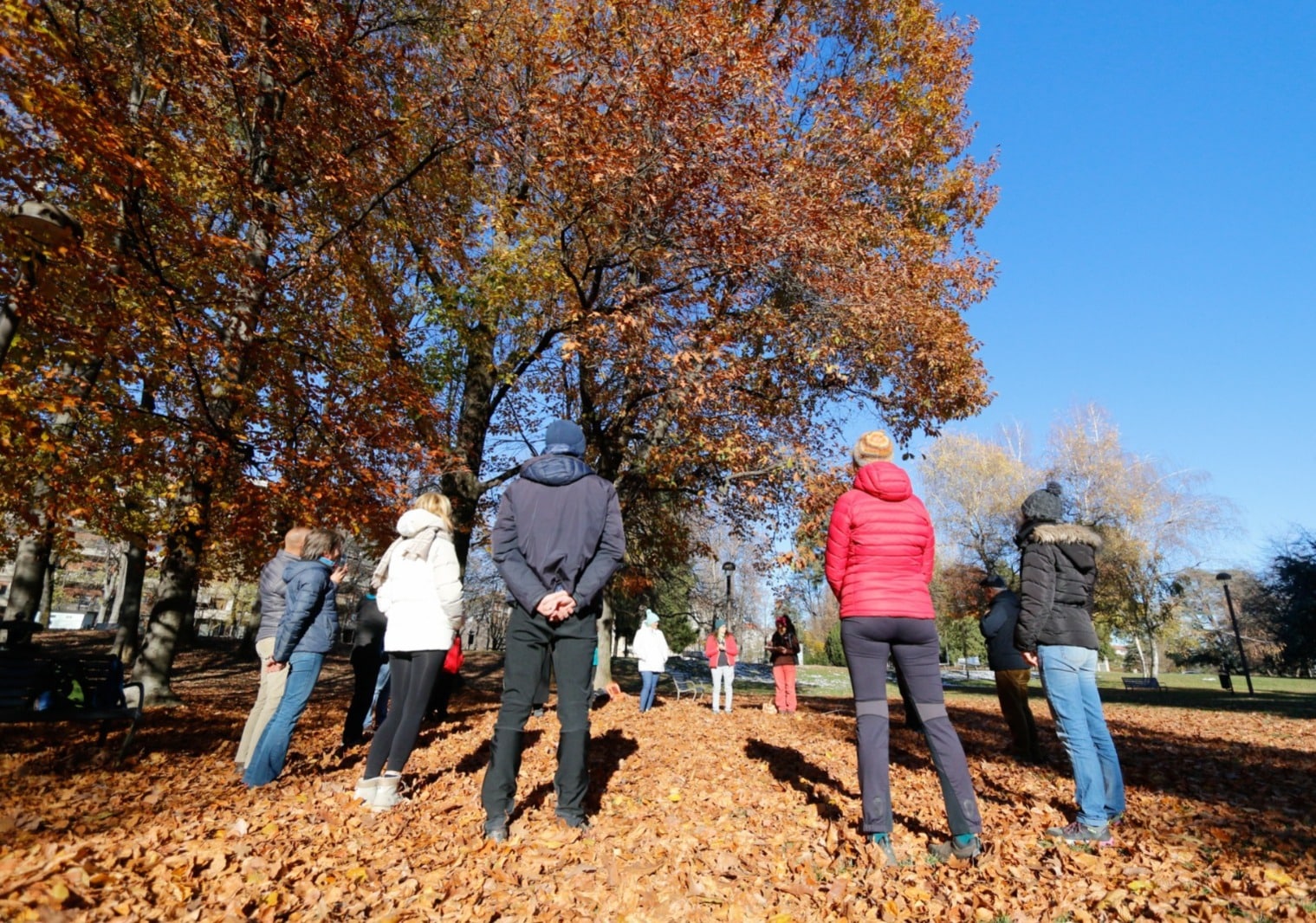 Green well-being in the city: forest bathing at Parco della Resistenza