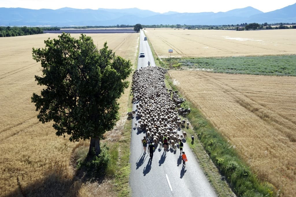 The Route, from Arles to Cuneo